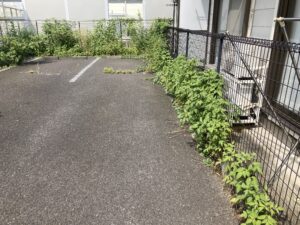 雑草のお悩みは武蔵野市グリーンシステム